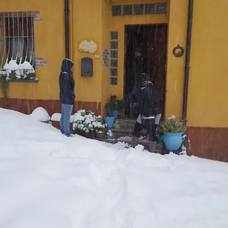 Partaitria 3* דורגלי