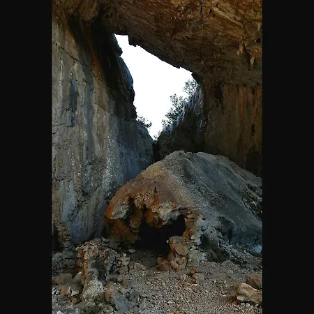 Partaitria