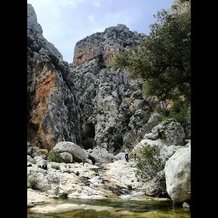 Partaitria Dorgali