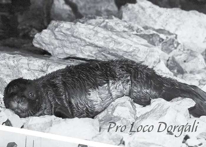 Panzió Partaitria Dorgali