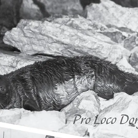 Alojamento de Acomodação e Pequeno-almoço Partaitria Dorgali